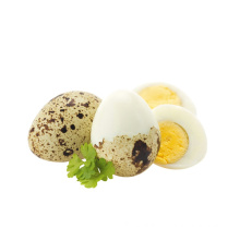 China wholesale Canned Quail Eggs in Water for sale